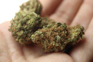 Gurpreet Dhillon encourages resident input on cannabis