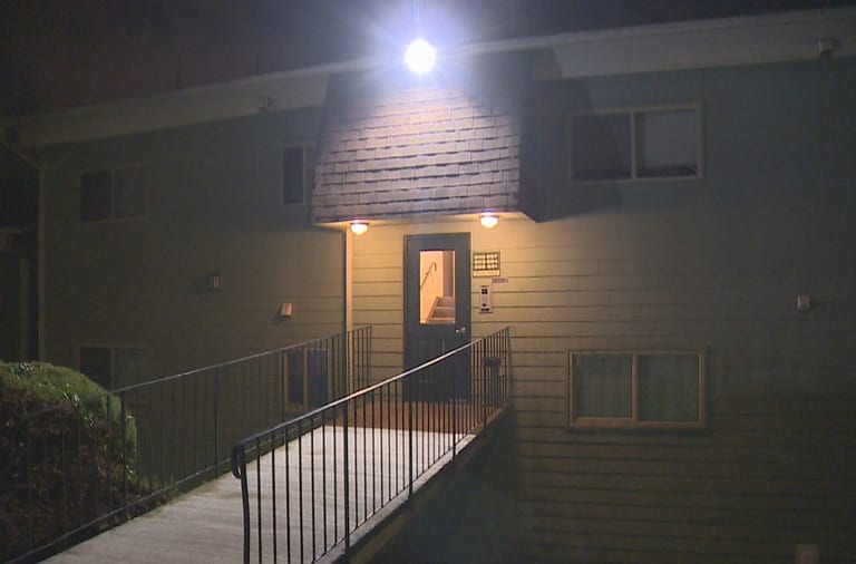 4 year boy shot pregnant mother